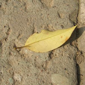 美女穿白丝给我操的免费视频
